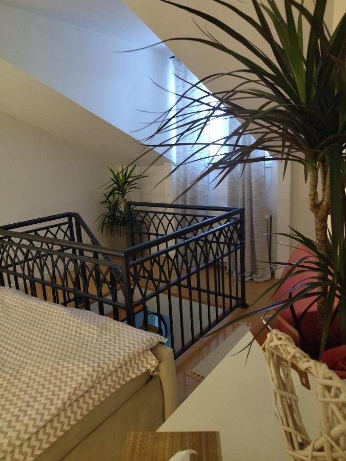 Apartman Element Kruševac Exteriör bild