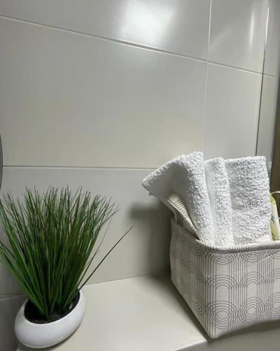 Apartman Element Kruševac Exteriör bild