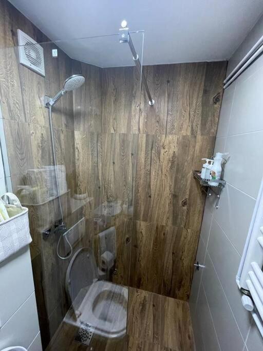 Apartman Element Kruševac Exteriör bild