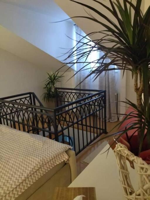 Apartman Element Kruševac Exteriör bild