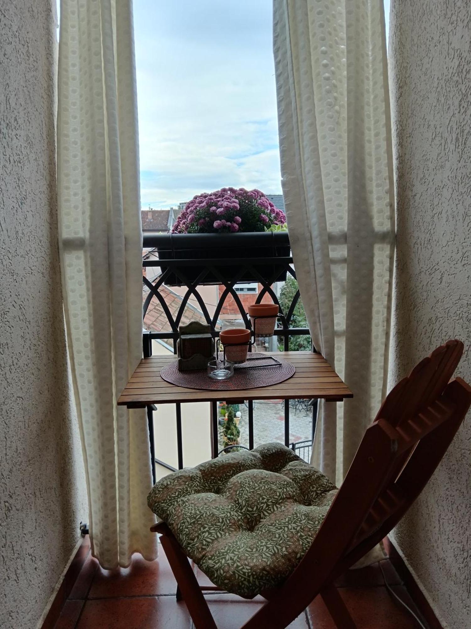 Apartman Element Kruševac Exteriör bild